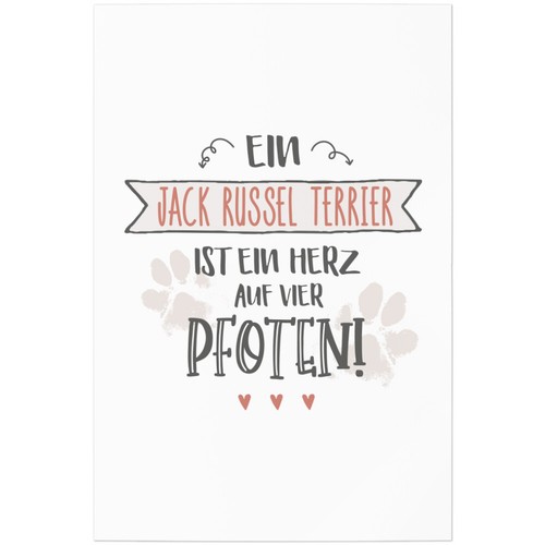Jack russel terrier un - un,