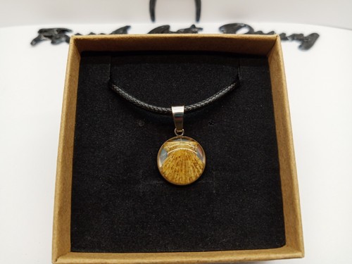 Fossil shell pendente - fossil,