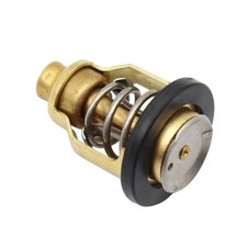 60V1241100 Termostato 50C 122F