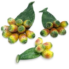 Pala di ficodindia da