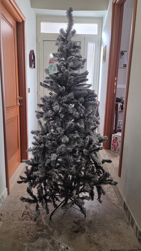 Kasaviva 180cm albero - 180cm, di
