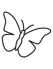 5 x adesivi auto sticker