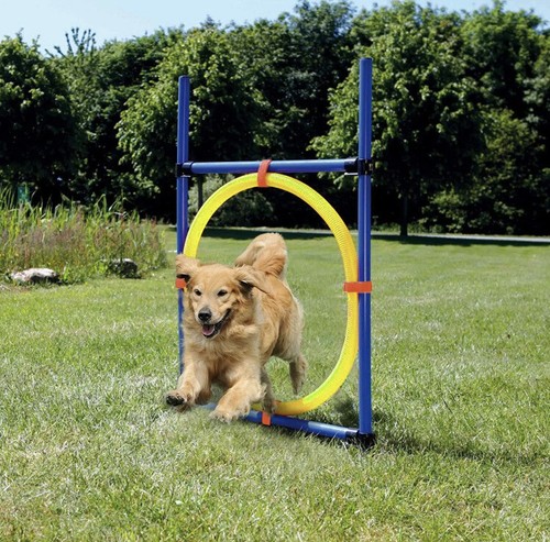 Agility hoop jump training - hoop, set