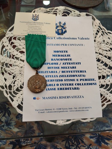 Medaglia alpini adunata - adunata, del