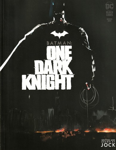 Batman one dark knight - batman,