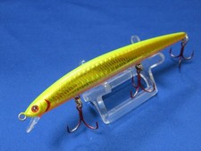 Daiwa Shore Line Shiner SL 12