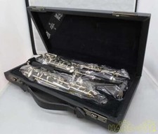 Rampone buffet usato BRODIGE