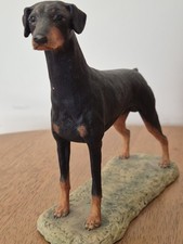 Border Fine Arts Doberman