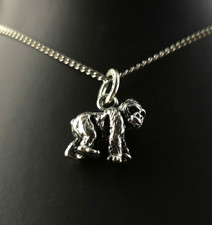 Charms Ciondolo Argento