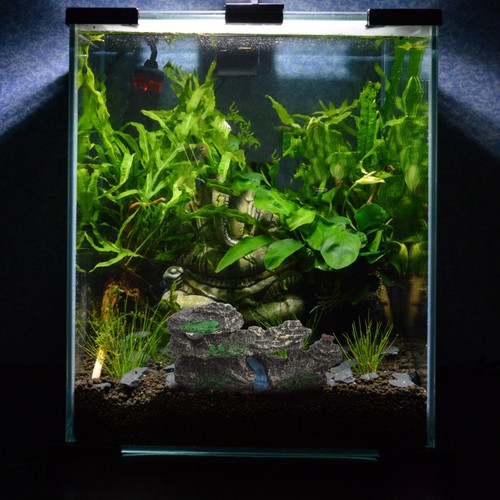 Decorazione dell acquario - ,