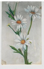Cartolina Vintage del 1916