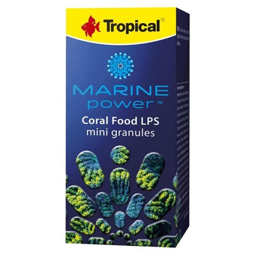 Tropical marine coral - tropical,