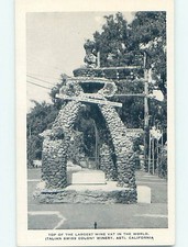 IVA vino più grande del mondo