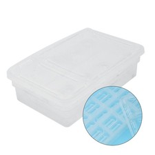 Scatola Allevamento Tartarughe