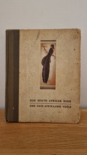 Our south african birds - south,