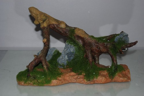 Acquario dettagliato radice - acquario,