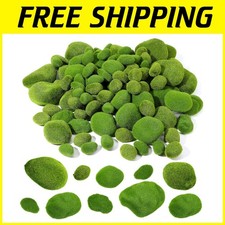 Pietre di muschio ricoperte