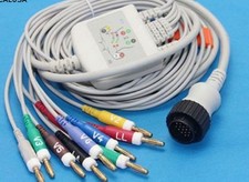 Cavo ECG 10 Piombo ECG per