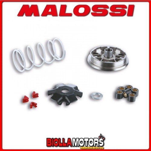 5113363 variatore malossi - 5113363,
