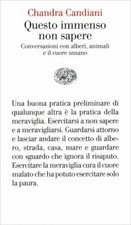 LIBRO QUESTO IMMENSO NON