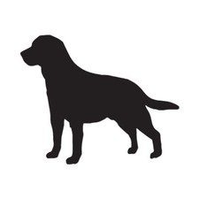 Labrador Terrier Dog - Vinyl