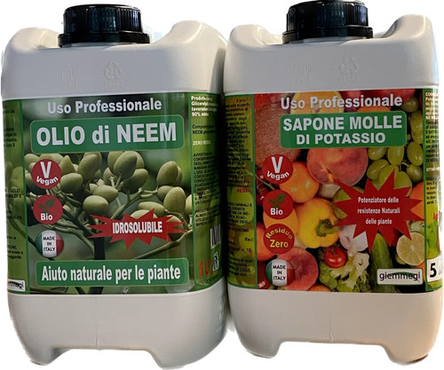 Olio neem insetticida - di,