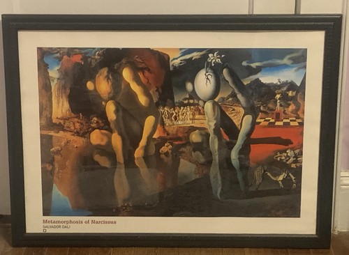 Dali metamorfosi di - dali, 'metamorfosi