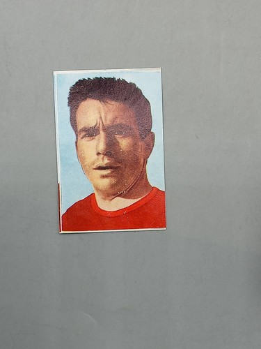 Figurina coppa rimet 1966 - coppa,