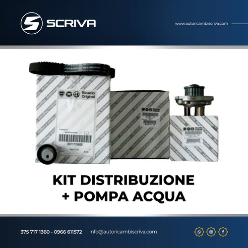 Kit distribuzione pompa - kit,