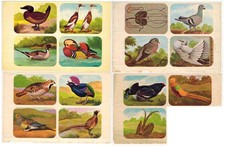 Enciclopedia di Topolino Gli