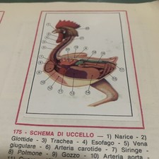 FIGURINA N. 175 ANIMALI ED