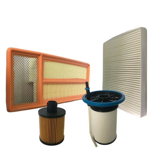 Kit tagliando fiat panda - kit, 1.3