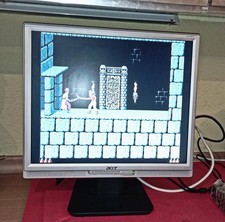 Monitor Acer AL1917 Schermo