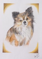 Ritratto realistico chihuahua