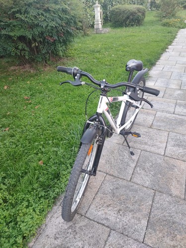 Dino bikes aurelia - aurelia, plus