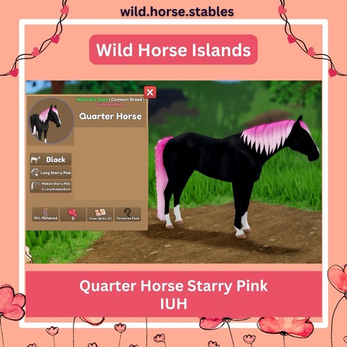 Wild horse islands - horse, quarter
