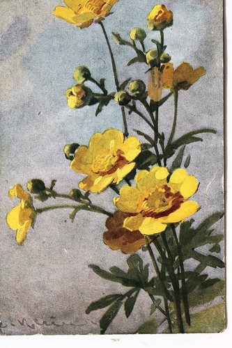 18342 künstlerak catharina - 18342,