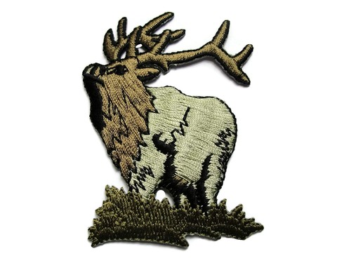 Maestoso alce caribù - maestoso, erba