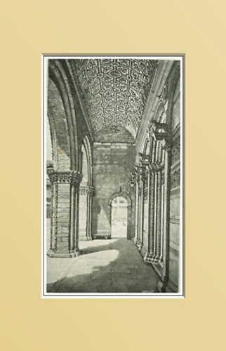 Lucca portico - lucca.,