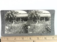Keystone Stereoview Ramona's