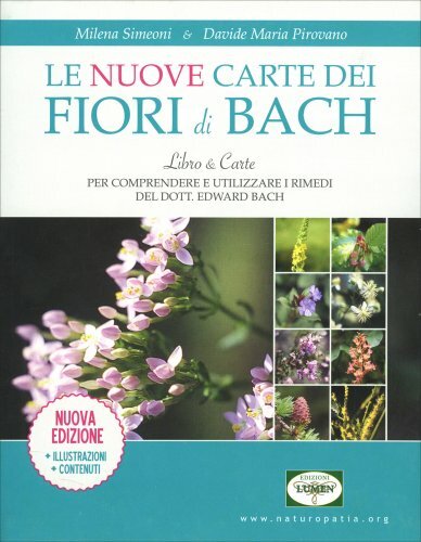 Nuove carte dei fiori di - nuove,