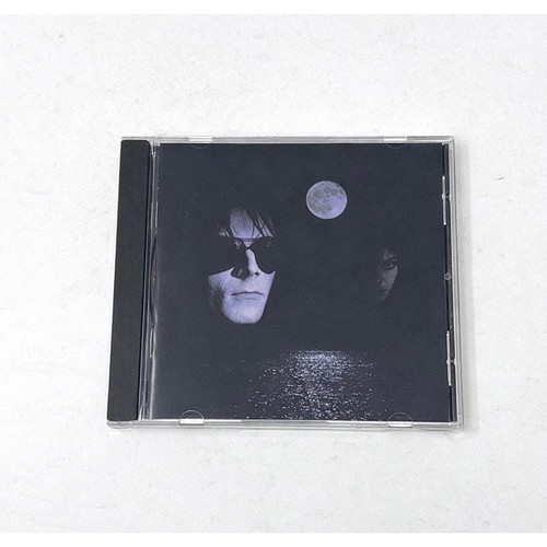 The sisters mercy floodland - sisters,