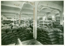 1938 TRIESTE Capannoni del PORTO FRANCO DUCA D'AOSTA al Molo VI *Fotografia