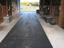 EQUIZeo Rimuovi Polvere e