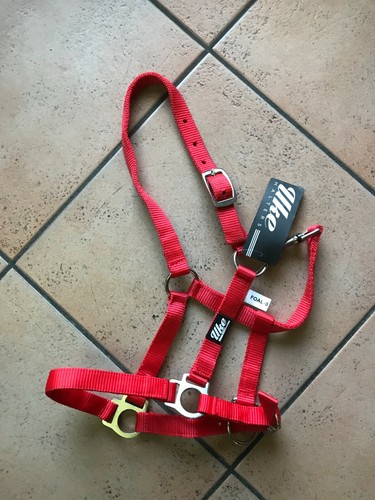 Capezza puledro nylon - capezza,