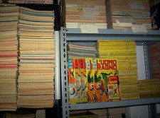 L'UOMO RAGNO CORNO DISPONIBILI A SCELTA TUTTI DAL 31 AL 249 DA 5,00 A 8,00 EURO 