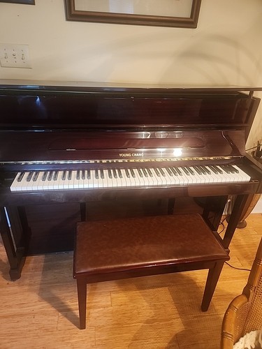 Young chang upright piano - young,