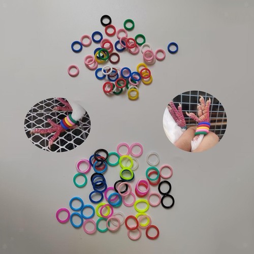 100 pezzi anelli per pollame