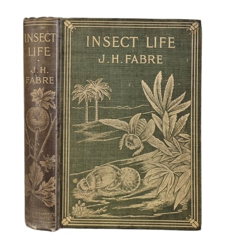 Insect life souvenirs of a - -,