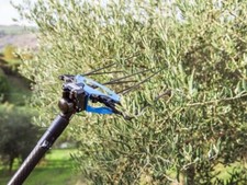 Abbacchiatore pneumatico su asta fissa e rubinetto STORM V1 Campagnola